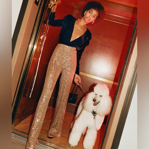 NWT ZARA Champaign Gold Sequins Pants XS - Picture 4 of 7